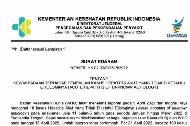 
Kemenkes Terbitkan Surat Edaran Kewaspadaan Terhadap Kasus Hepatitis Akut