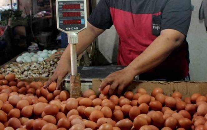 
Subsidi Harga Telur Ayam Rp 10.000 Per Kilogram untuk Warga Jakarta, Ada Syaratnya