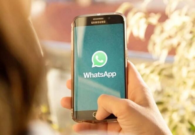 Ilustrasi Pengguna WhatsApp. (Doc: Istimewa)