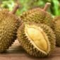 Buah Durian