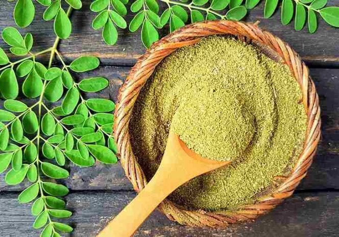 
Manfaat Daun Kelor Bagi Kesehatan. (Dok: Istimewa)