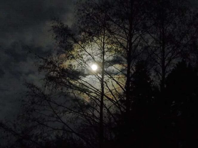 
Malam Jumat Kliwon. (Dok: Istimewa)