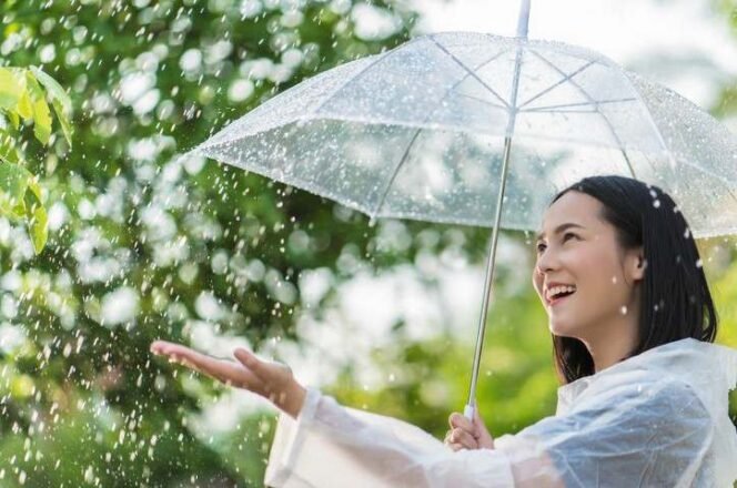 
Ide Bisnis yang Potensial di Musim Hujan. (Dok: Istimewa)