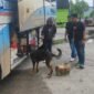 Narkoba di Pelabuhan Bakauheni