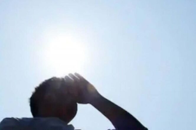 
Ilustrasi: Suhu Panas di Indonesia. (Dok: Istimewa)