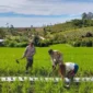 Polri Ketahanan Pangan