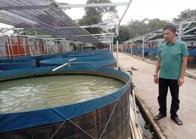 
Ketahanan Pangan Desa Ciledug, Setu. (Dok: Istimewa)