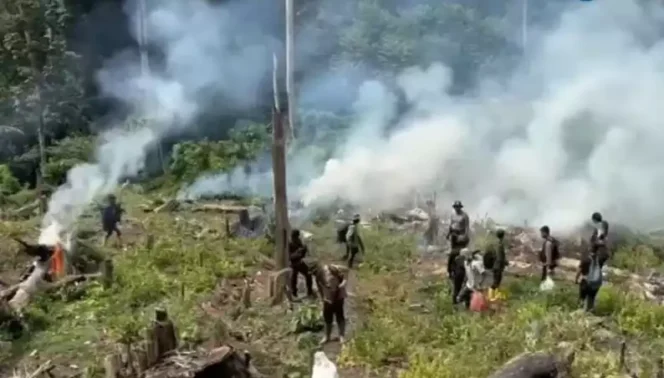 
Pemusnahan Ladang Ganja di Aceh. (Dok: Istimewa)