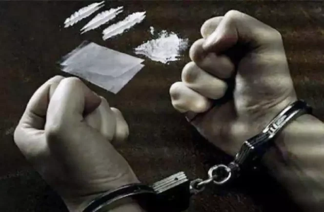 
Ilustrasi: Penangkapan Pelaku Pengedar Narkotika. (Dok: Istimewa)