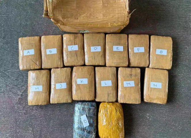 
Barang Bukti Narkoba. (Dok: Istimewa)