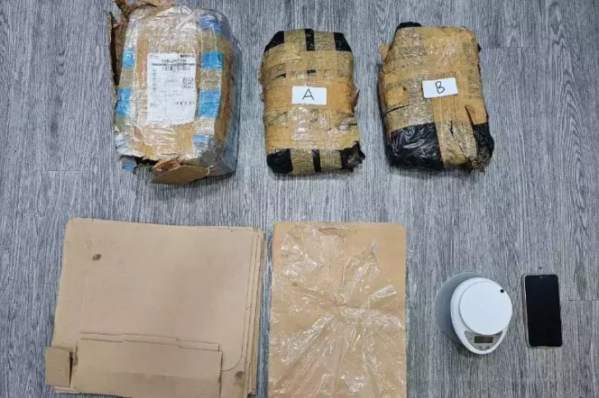 Barang Bukti Narkoba Pengedar Ganja di Tambora. (Dok: Istimewa)
