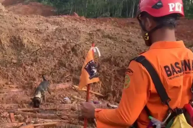 
Pencarian Korban Longsor Cilacap. (Dok: Istimewa)