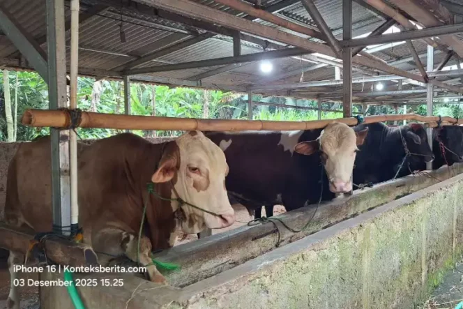 
BUMdes Cikahuripan Desa Kertarahayu. (Dok: Istimewa)