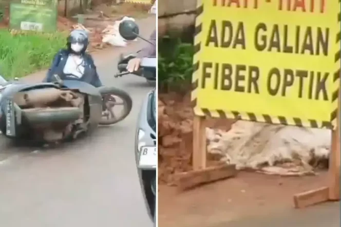 
Proyek Galian Kabel Fiber Optik di Kecamatan Setu. (Dok: Istimewa)