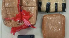 Barang Bukti Ganja. (Dok: Istimewa)