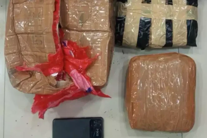 
Barang Bukti Ganja. (Dok: Istimewa)