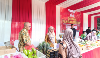 Photo : Kepala dinas Ketahanan pangan Kota Bekasi, Karto saat meninjau lokasi di Bekasi utara (Doc.cam) 