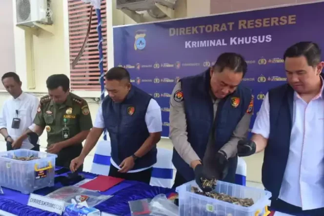 
Polda Kalsel Gagalkan Penyelundupan 64 Kg Sisik Trenggiling
