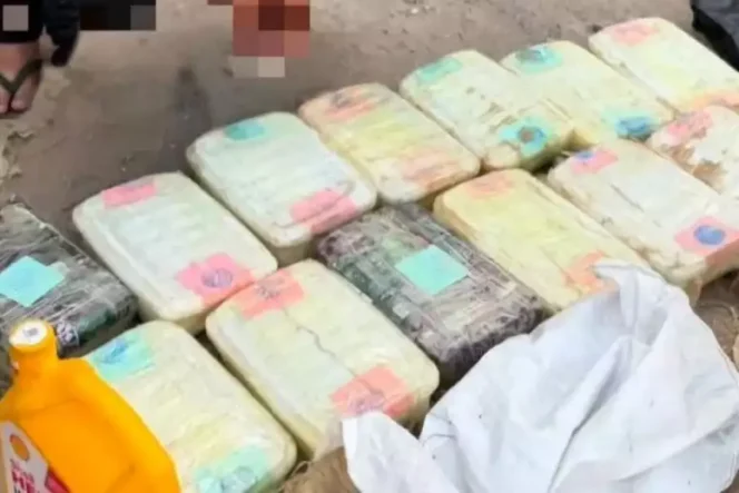
Polres Jakpus Sita 20,5 Kg Sabu Senilai Rp25 Miliar